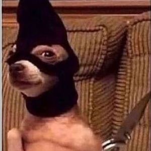 Meet your Posher, Marty